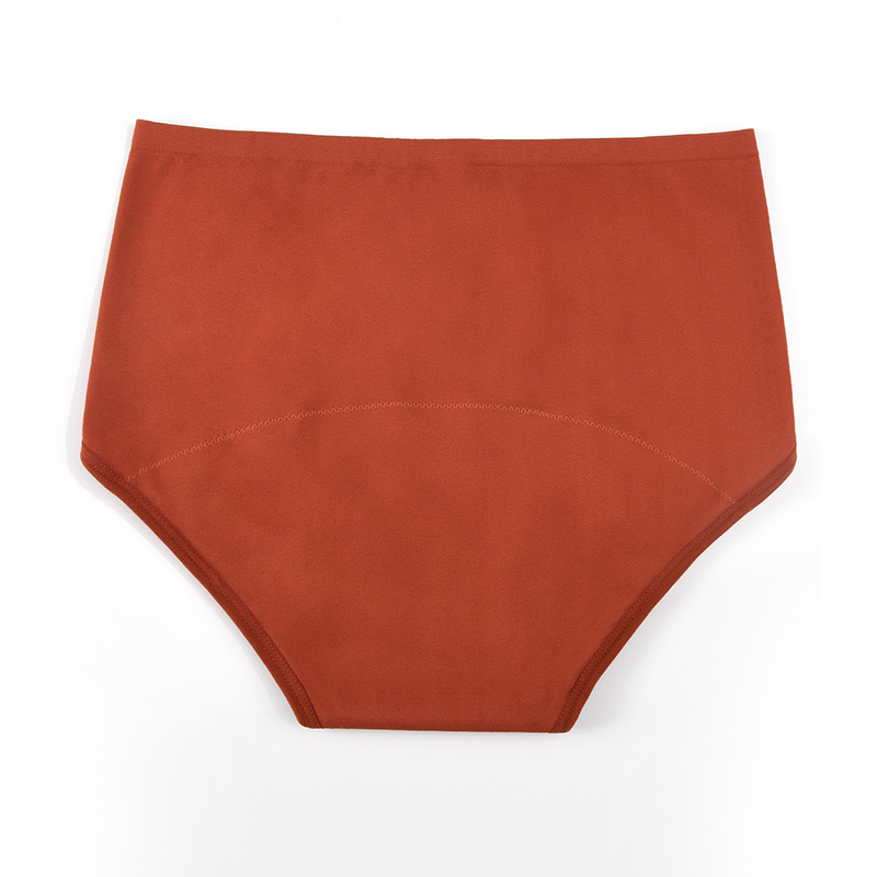 سراويل داخلية نسائية بدون خياط - مراجعة Period Panty Absorbent وسعره